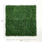 Designer Plants USA Dark Artificial Boxwood Wall 40" x 40" 11SQ FT Commercial Grade UV Resistant