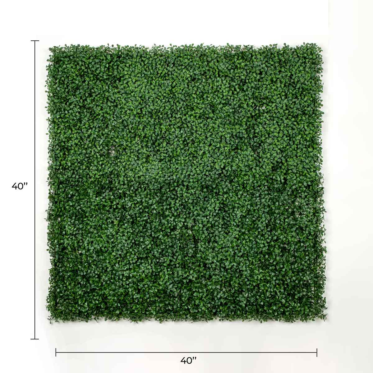 Designer Plants USA Dark Artificial Boxwood Wall 6 Pieces 40" x 40" Set Commercial Grade
