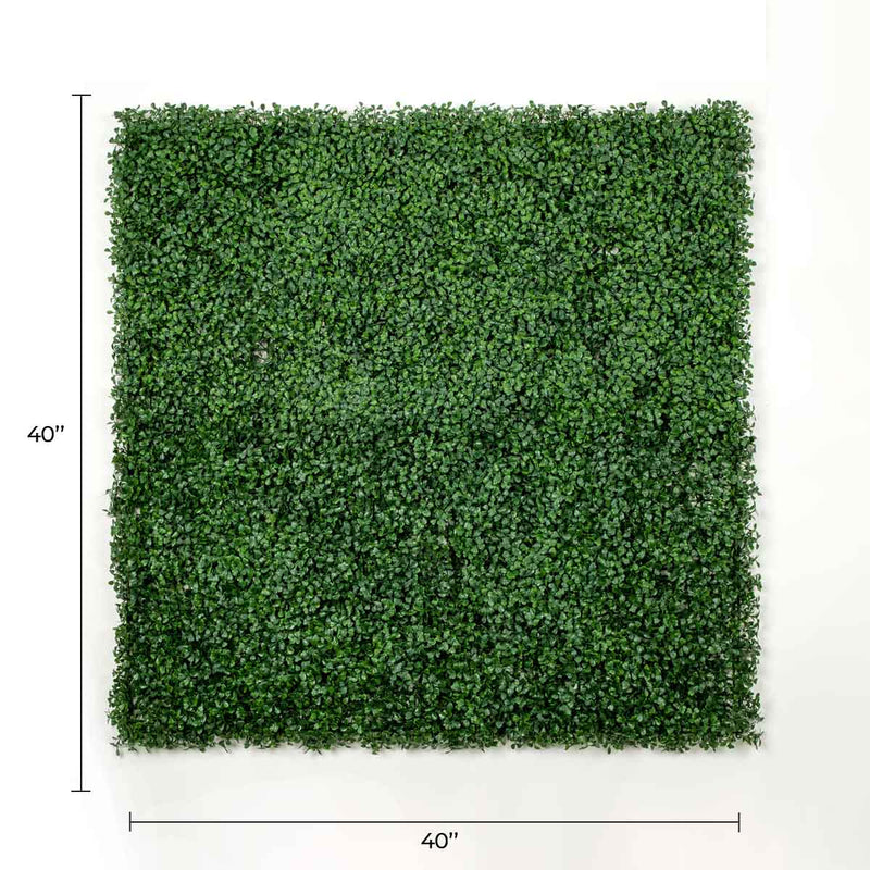 Designer Plants USA Dark Artificial Boxwood Wall 6 Pieces 40" x 40" Set Commercial Grade