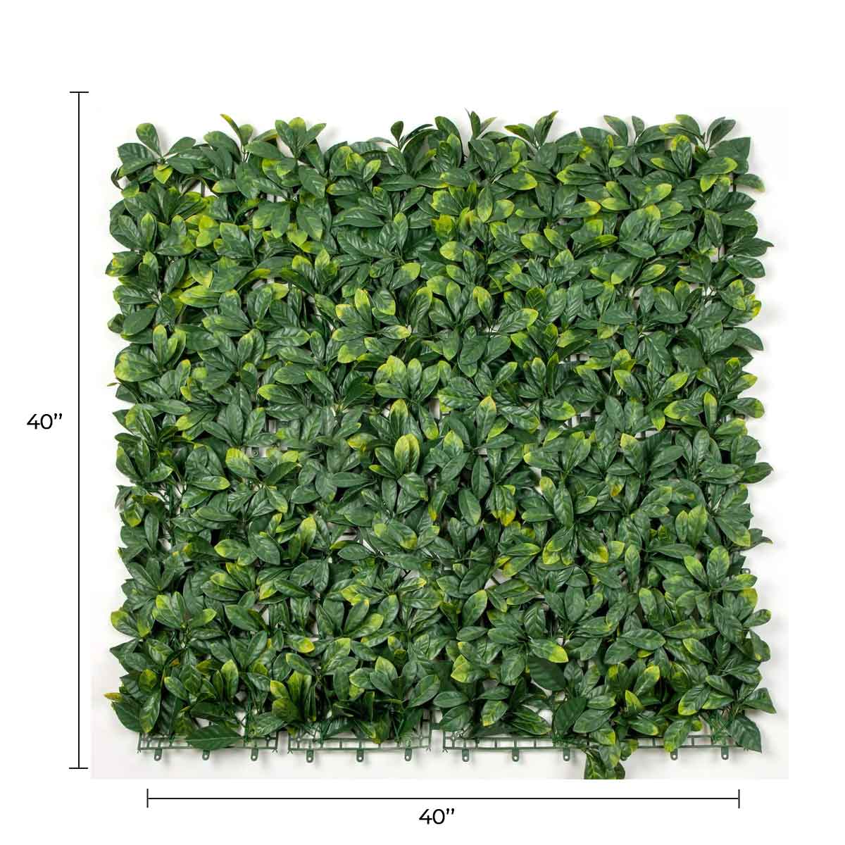 Designer Plants USA Premium Laurel Artificial Vertical Garden Wall 40x40 Commercial Grade