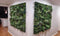 Designer Plants USA Garden of Eden 40"x40" Metal-Backed UV Fire-Resistant Green Wall
