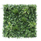 Designer Plants USA Luxury Green Tropics Artificial Living Wall 40x40 Commercial Grade