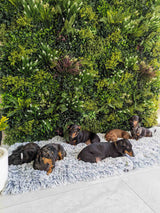 Designer Plants USA U-Luxury Lush Spring Artificial Vertical Wall 40x40 Commercial Grade