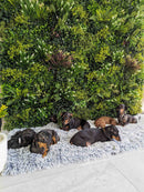 Designer Plants USA U-Luxury Lush Spring Artificial Vertical Wall 40x40 Commercial Grade
