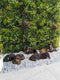 Designer Plants USA U-Luxury Lush Spring Artificial Vertical Wall 40x40 Commercial Grade