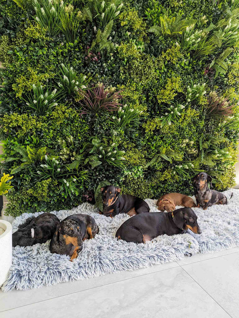 Designer Plants USA U-Luxury Lush Spring Artificial Vertical Wall 40x40 Commercial Grade