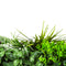 Designer Plants USA Luxury Urban Greenery Artificial Vertical Garden 40" x 40" 11SQ FT Commercial Grade UV Resistant
