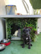 Designer Plants USA Luxury Urban Greenery Artificial Vertical Garden 40" x 40" 11SQ FT Commercial Grade UV Resistant
