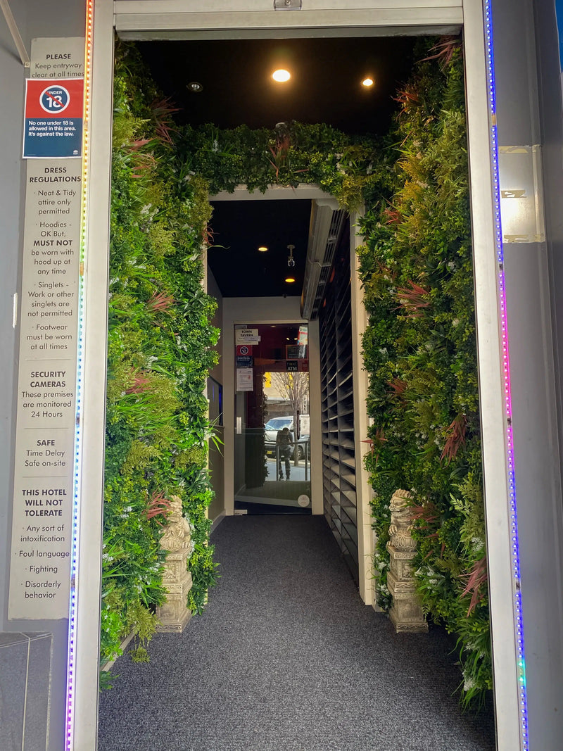 Designer Plants USA Ultra Luxury Amazon Jungle Vertical Garden 40" x 40" 11SQ FT Commercial Grade UV Resistant