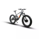 Eunorau Defender 750W Electric Bicycle