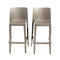 Rainbow Outdoor Luna Set of 2 Barstools - Cappuccino