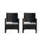 Rainbow Outdoor Nova Set of 2 Lounge Chairs With Cushion