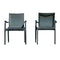 Rainbow Outdoor Paris Set of 2 Sling Armchairs - Anthracite