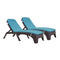 Rainbow Outdoor Roma Set of 2 Chaise Lounger With Cushion-Brown