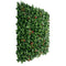 Designer Plants USA Artificial Photinia Hedge Panel 40 x 40 Commercial Grade UV Resistant