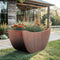Carbon Designs The Sienna Planter