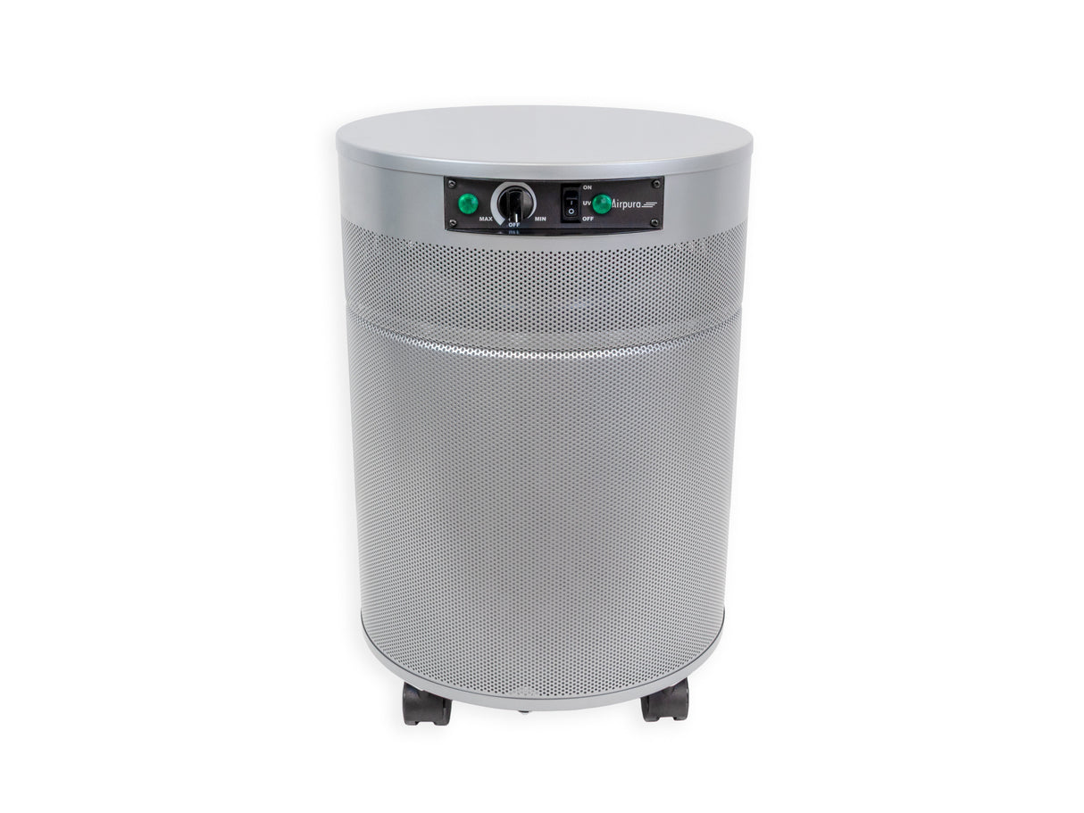 Airpura P600 Plus Germs, Mold and Chemicals Air Purifier
