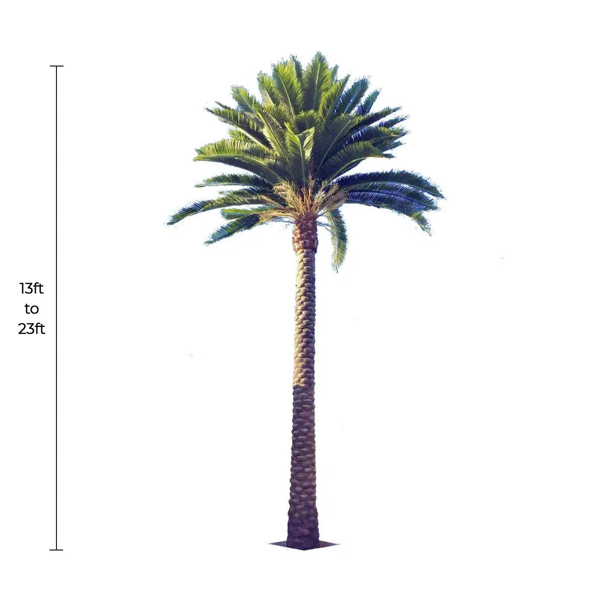 Designer Plants USA Tall Artificial Florida Palm Tree (13ft To 23ft) UV Resistant