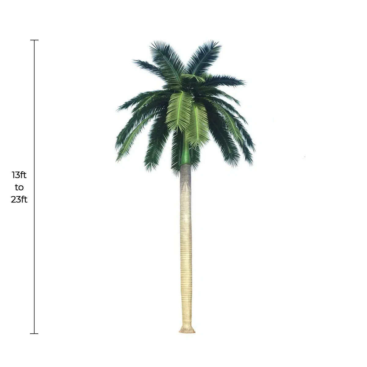 Designer Plants USA Tall Artificial Royal Palm Tree (13ft - 23ft) UV Resistant