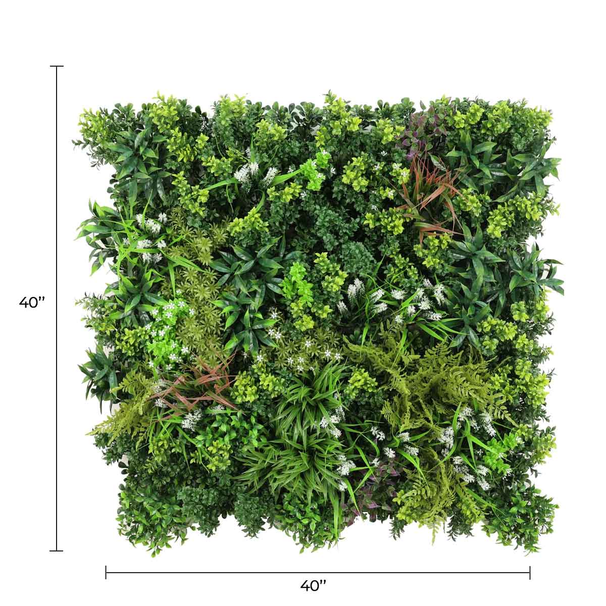 Designer Plants USA Ultra Luxury Amazon Jungle Vertical Garden 40" x 40" 11SQ FT Commercial Grade UV Resistant