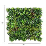 Designer Plants USA Ultra Luxury Amazon Jungle Vertical Garden 40" x 40" 11SQ FT Commercial Grade UV Resistant