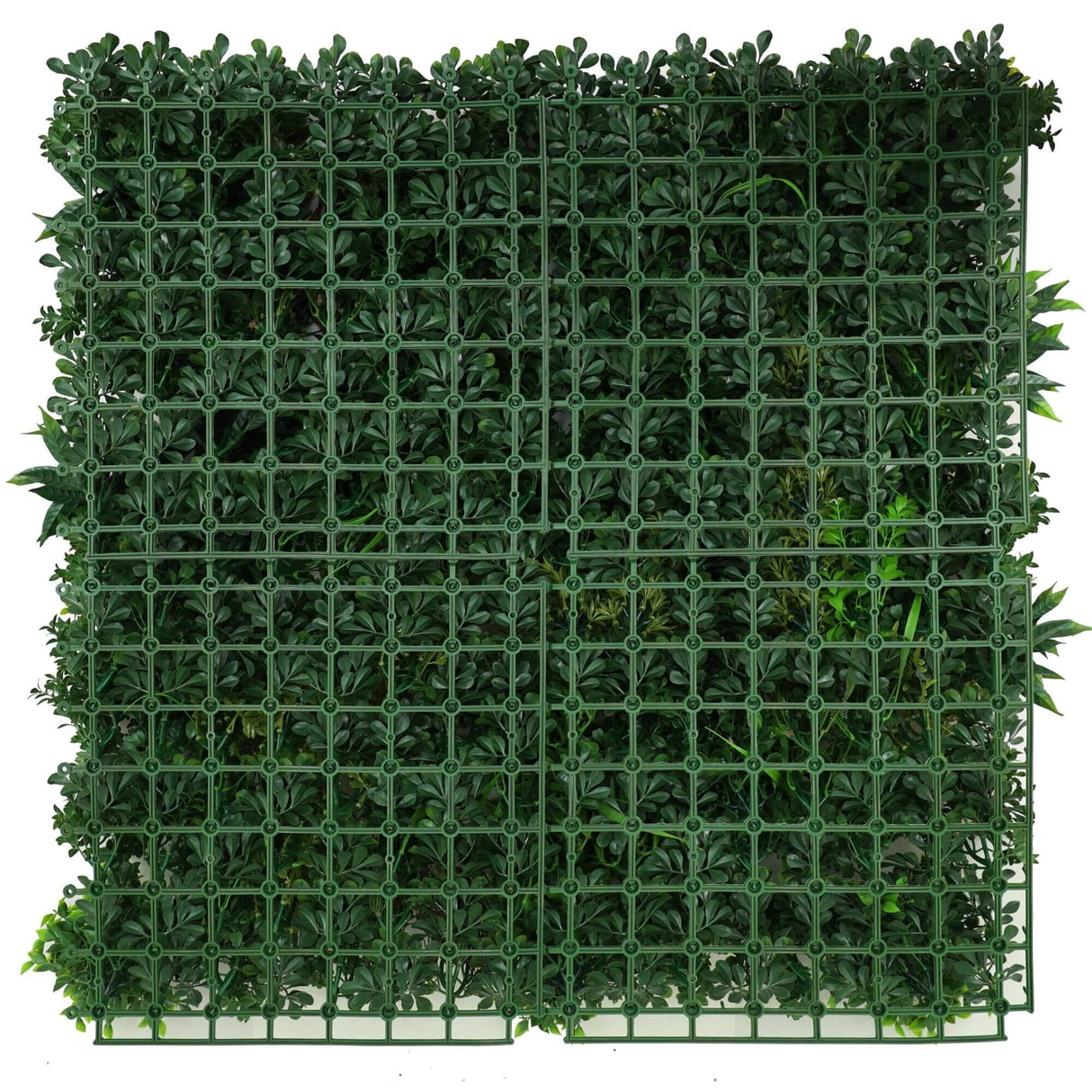 Designer Plants USA Ultra Luxury Amazon Jungle Vertical Garden 40" x 40" 11SQ FT Commercial Grade UV Resistant
