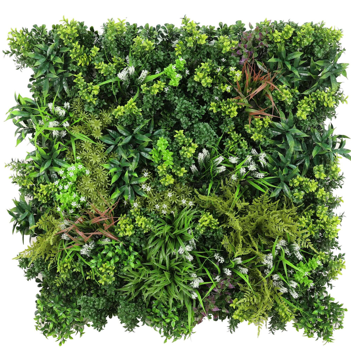 Designer Plants USA Ultra Luxury Amazon Jungle Vertical Garden 40" x 40" 11SQ FT Commercial Grade UV Resistant