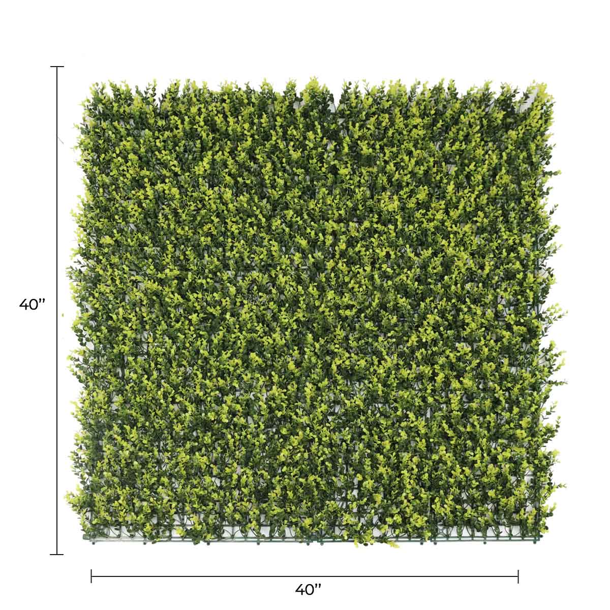 Designer Plants USA Yellow English Artificial Boxwood Wall 40" x 40" Commercial Grade