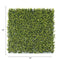Designer Plants USA Yellow English Artificial Boxwood Wall 40" x 40" Commercial Grade
