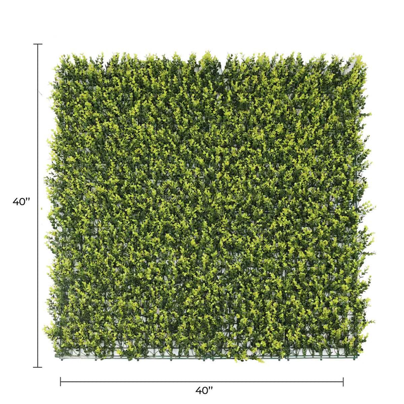Designer Plants USA Yellow English Artificial Boxwood Wall 40" x 40" Commercial Grade