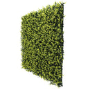 Designer Plants USA Yellow English Artificial Boxwood Wall 40" x 40" Commercial Grade