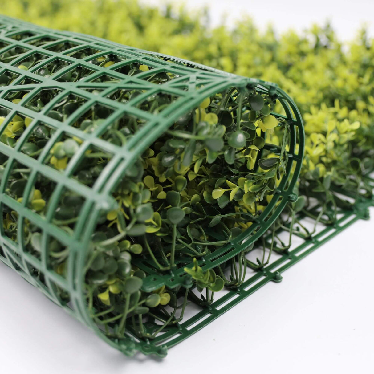 Designer Plants USA Yellow English Artificial Boxwood Wall 40" x 40" Commercial Grade