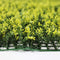 Designer Plants USA Yellow English Artificial Boxwood Wall 40" x 40" Commercial Grade