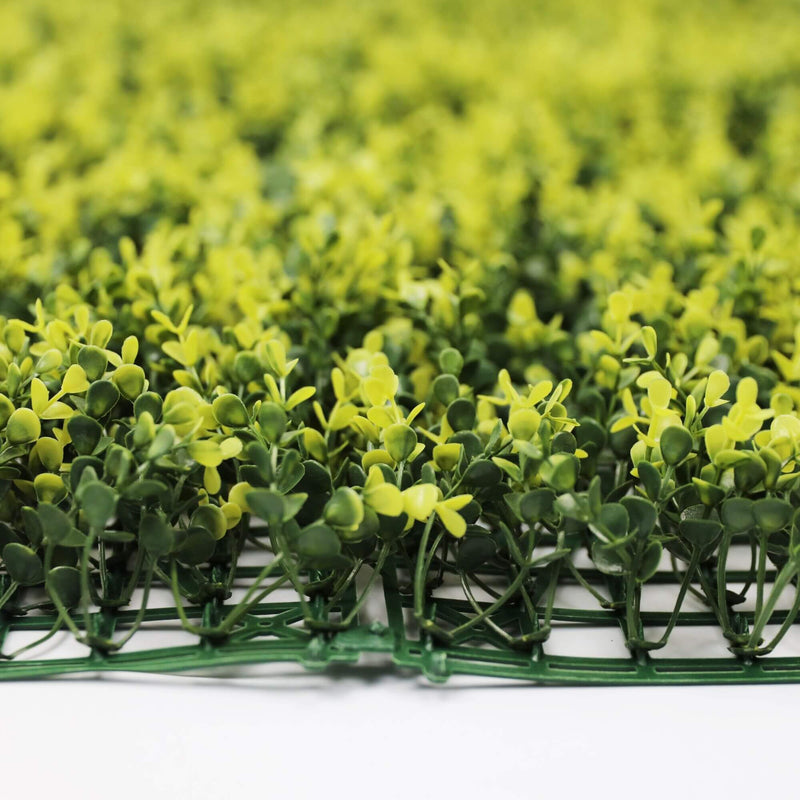 Designer Plants USA Yellow English Artificial Boxwood Wall 40" x 40" Commercial Grade