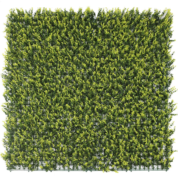 Designer Plants USA Yellow English Artificial Boxwood Wall 40" x 40" Commercial Grade