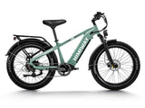 Himiway D5 (Zebra) 750W All-Terrain Fat Tire Electric Bike