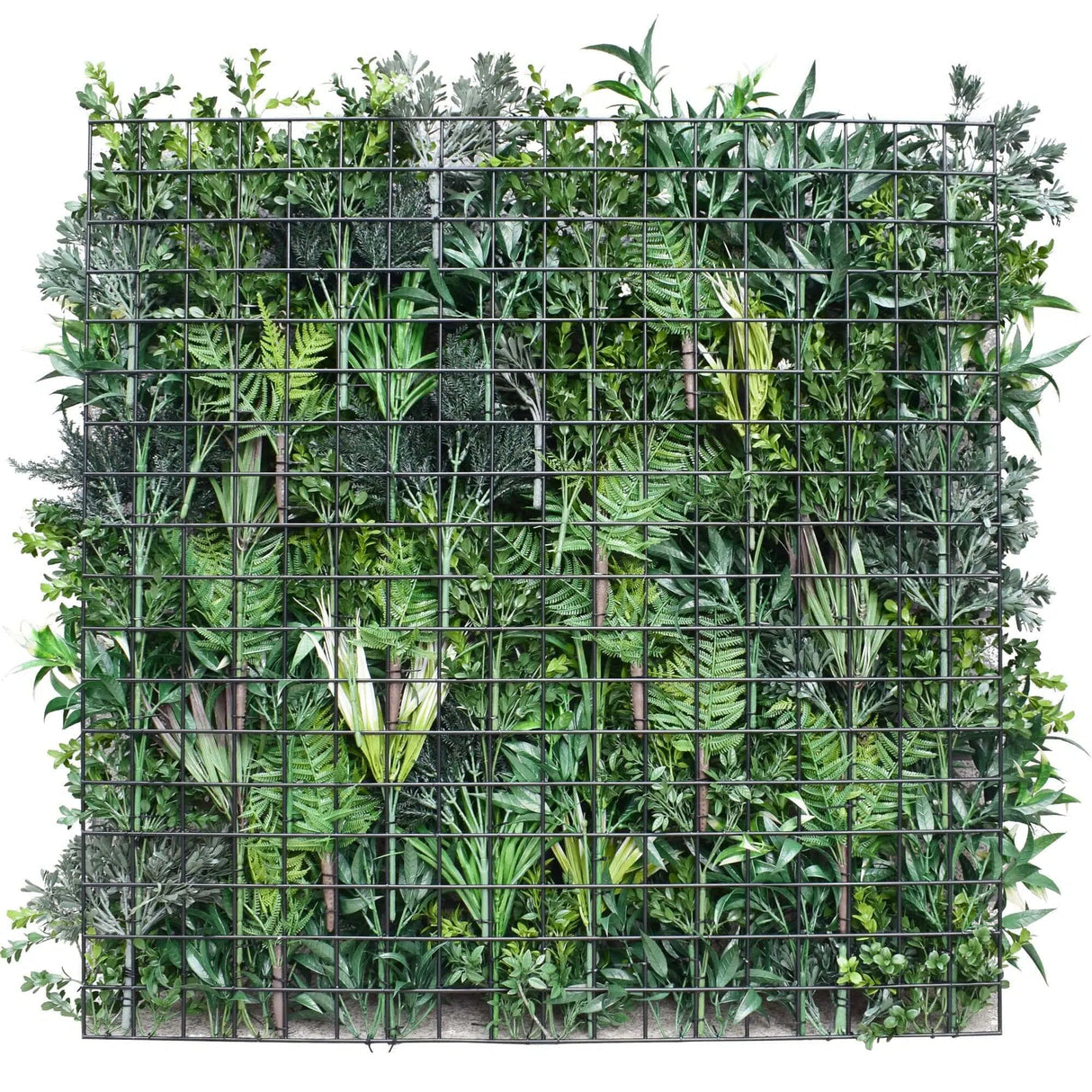 Designer Plants USA Garden of Eden 40"x40" Metal-Backed UV Fire-Resistant Green Wall