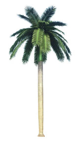 Designer Plants USA Tall Artificial Royal Palm Tree (13ft - 23ft) UV Resistant