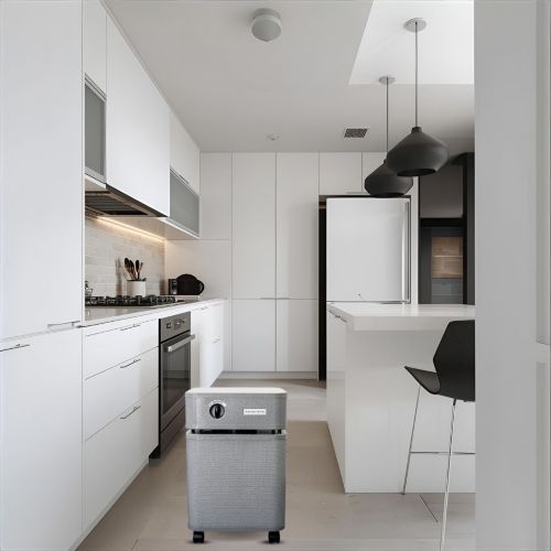 Austin Air Immunity Machine Air Purifier