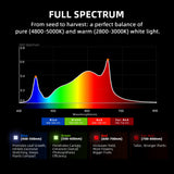 Spider Farmer G3000 300 Watt Dimmable Cost effective Full Spectrum High Yield LED Grow Light for 3X3