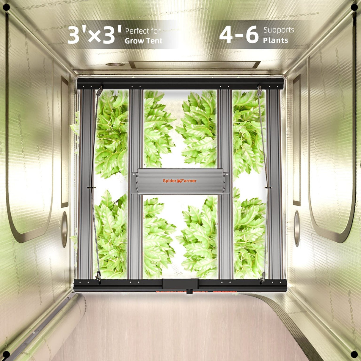 Spider Farmer G3000 300 Watt Dimmable Cost effective Full Spectrum High Yield LED Grow Light for 3X3