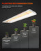Spider Farmer SF300 33 Watt Led Grow Light For Veg