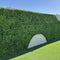 Designer Plants USA Premium Bright Artificial Boxwood Wall 40" x 40" Commercial Grade