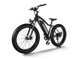 Himiway D3 (Cruiser) 750W Long Range Fat Tire Electric Bike