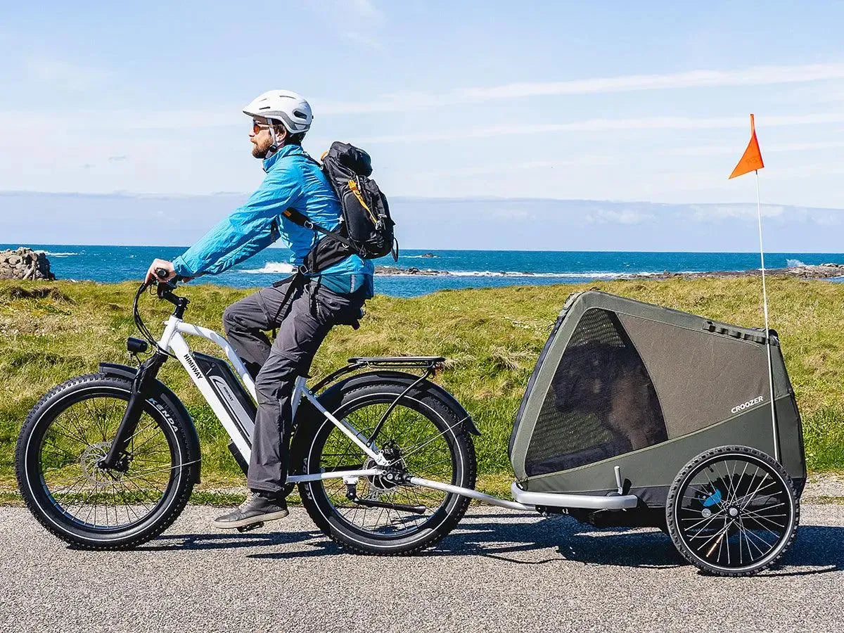 Himiway D3 ST (Cruiser ST) 750W All-Terrain Step-Thru Fat Tire Electric Bike