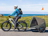 Himiway D3 ST (Cruiser ST) 750W All-Terrain Step-Thru Fat Tire Electric Bike