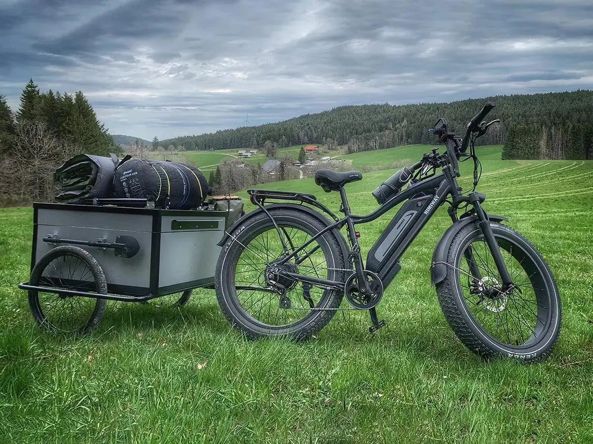 Himiway D3 (Cruiser) 750W Long Range Fat Tire Electric Bike