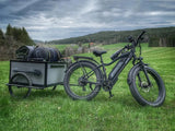 Himiway D3 (Cruiser) 750W Long Range Fat Tire Electric Bike