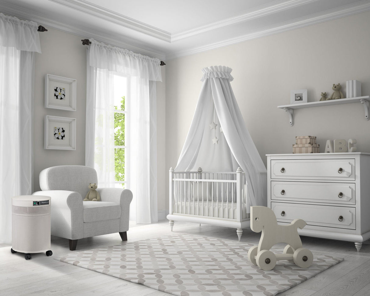 Airpura G700 Odor-Free Carbon MCS Air Purifier