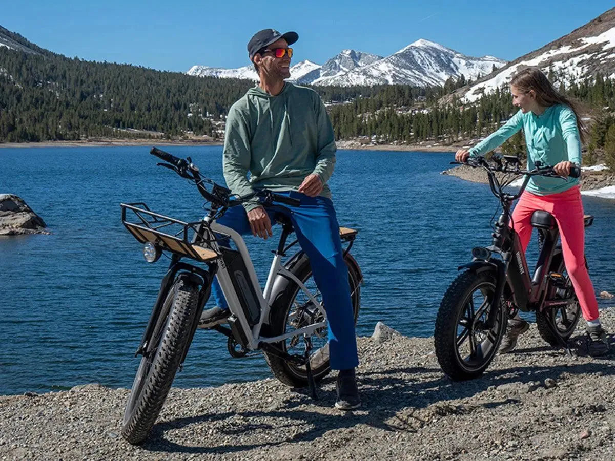 Himiway D3 ST (Cruiser ST) 750W All-Terrain Step-Thru Fat Tire Electric Bike